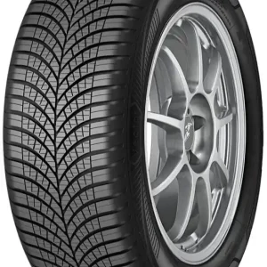 Ofertă de sezon Anvelope GOODYEAR VECTOR-4S G3 (+) XL                                                                                                    205/55R16 94V (VW,XL,TL,(+) )