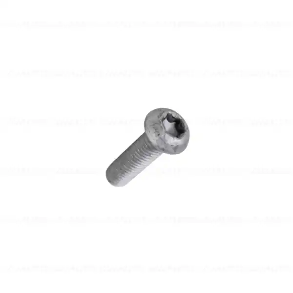 Surub ISA, M10x35-8.8-ZNS3 - BMW - BMW Motorrad Plată sigură