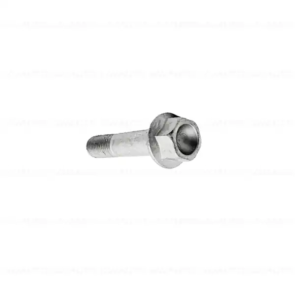 Plată sigură Sutub fixare roata, axa spate, L=55mm - BMW Motorrad 259 (R 1100 S, R 1100 RS), K41 (K 1200 GT, K 1200 RS), K569 (K 75, K 75 C, K 75 S, K 75 RT), K589 (K 1200 RS, K 1200 LT), R22 (R 850 RT, R 1150 RT, R 1150 RS), R28 (R 850 R, R 1150 R, Rockster)