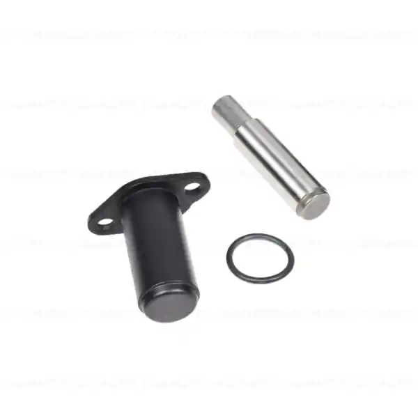 Kit intinzator lant distributie - BMW Motorrad K40 (K 1200 S, K 1300 S), K43 (K 1200 R, Sport, K 1300 R) Popular