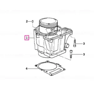 Cilindru cu piston negru - BMW Motorrad Super ofertă