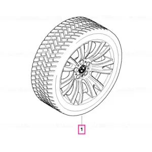 Comandă acum Roată completă de iarnă - M V-Spoke 223M cu anvelopa Continental 4x4 Winter Contact SSR - 255/50R19 107V XL - BMW X5 E70