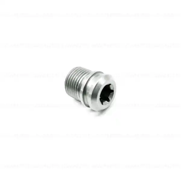 Ofertă exclusivă Surub golire ulei, M12X1-ZNNIVSI - BMW Motorrad K17, K18, K19, K21, K22, K23, K25, K26, K27, K28, K29, K32, K33, K34, K35, K40, K43, K44, K48, G50, K51, K52, K53, K54, K61, KA1, KA2, KR1, KR2, KR3