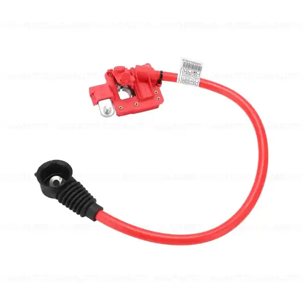 Cablu baterie (pol pozitiv) (SBK 2.2) - BMW Seria 1 E82, Seria 5 F07 F10 F11 F18, Seria 6 F06 F12 F13 Preț mic