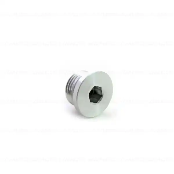 Lichidare de stoc Dop de golire ulei, magnetic M24x2 - BMW Motorrad K14 (F 650 CS), K15 (G 650 X), K70 (F 700 GS), K71 (F 800 S, F 800 ST, F 800 GT), K72 (F 650 GS, F 800 GS), K73 (F 800 R), K75 (F 800 GS Adventure), R13 (F 650 GS, GS Dakar), R13 (G 650 GS)