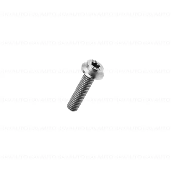 Livrare gratuită Surub cap cilindric M8x20 8.8 MK - BMW Motorrad K07, K08, K21, K22, K23, K32, K33, K34, K35, K69, K80, K81, K82, K83, K84, KA1, KA2, KA3, KM9, KR1, KR2, KR3
