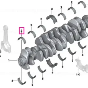 Reduceri Cuzinet 1 (albastru) 55,00MM (0) - BMW