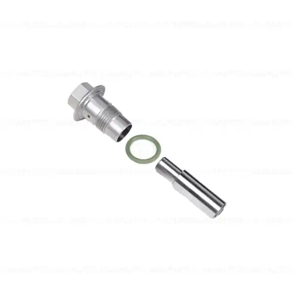Retur ușor Set intinzator lant, dreapta - BMW Motorrad K50 (R 1200 GS, R 1250 GS), K51 (R 1200 GS Adv., R 1250 GS Adv.), K52 (R 1200 RT, R 1250 RT), K53 (R 1200 R, R 1250 R), K54 (R 1200 RS, R 1250 RS)