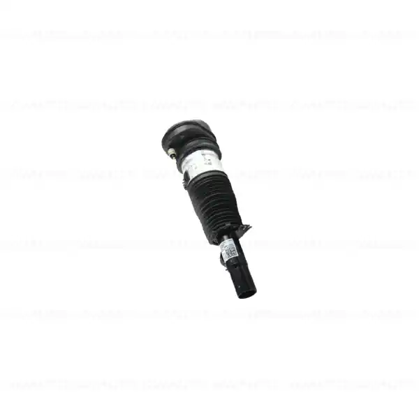 Vezi acum Amortizor pneumatic suspensie, punte fata, dreapta, VDC - BMW X5 G05