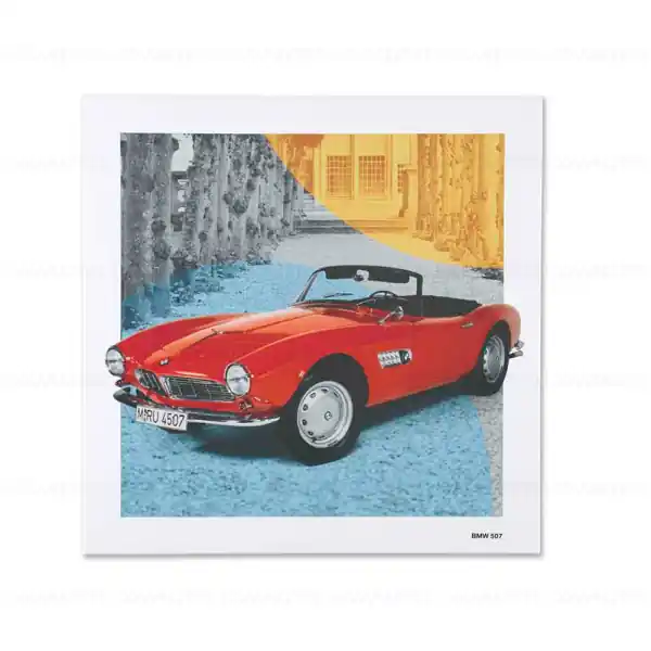 Ultima șansă Tablou BMW Classic BMW 507