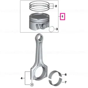 Reduceri Piston kit - BMW