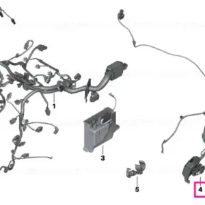 wiring harness, engine trans. module - BMW Chilipir
